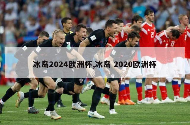 冰岛2024欧洲杯,冰岛 2020欧洲杯