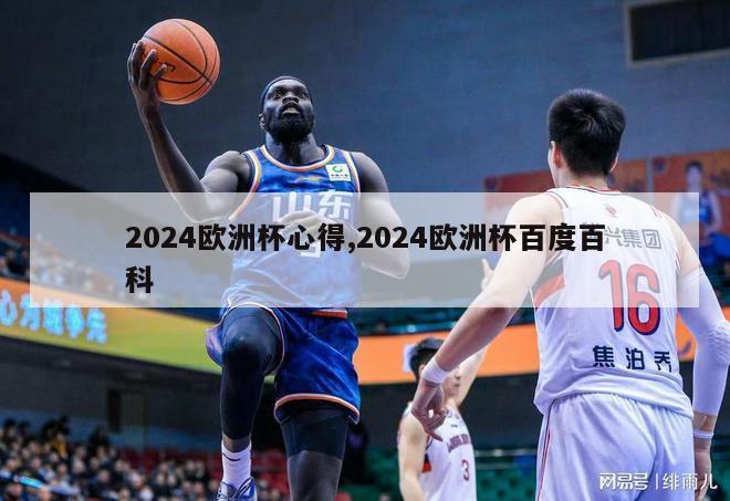 2024欧洲杯心得,2024欧洲杯百度百科