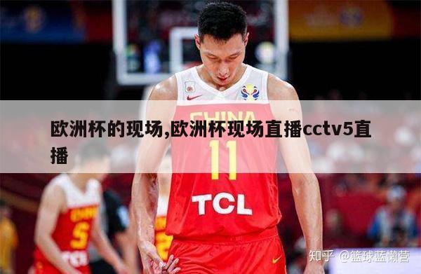 欧洲杯的现场,欧洲杯现场直播cctv5直播