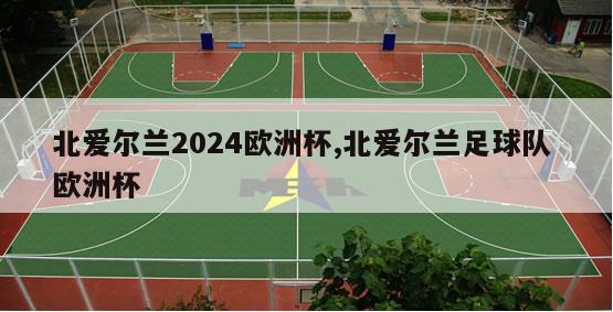 北爱尔兰2024欧洲杯,北爱尔兰足球队 欧洲杯