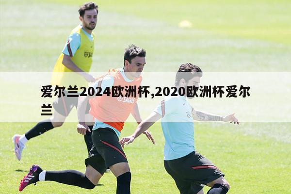 爱尔兰2024欧洲杯,2020欧洲杯爱尔兰